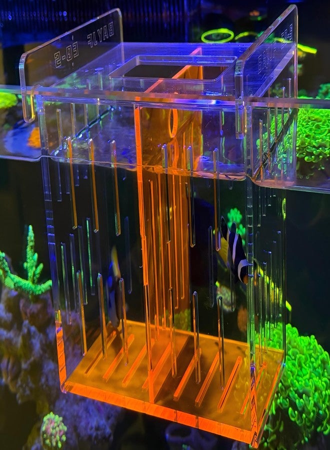 ONE BAYJF Fish Breeder Isolation Box for Aquarium Tank,Transparent Orange Acrylic Fish Acclimation Box for Clownfish Guppy Betta Coral (S) - Image 5